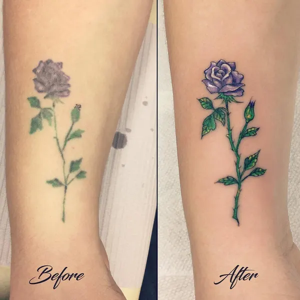 Flower, Rose