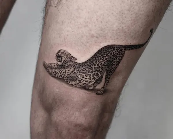 Animal, Tiger, 치타, 팬서, 표범, 재규어
