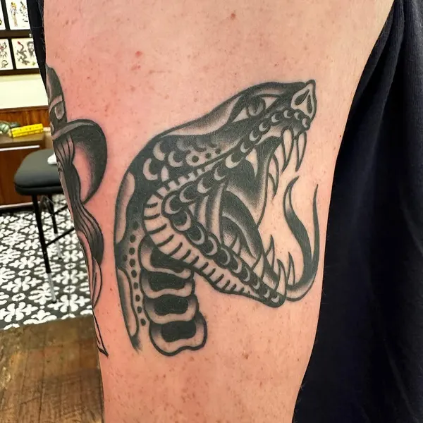 Animal