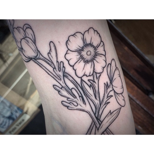 Flower, Rose