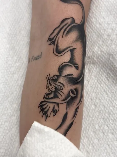 Animal