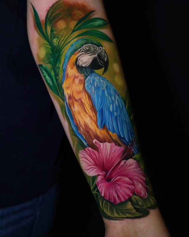 Animal, Nature, 앵무새