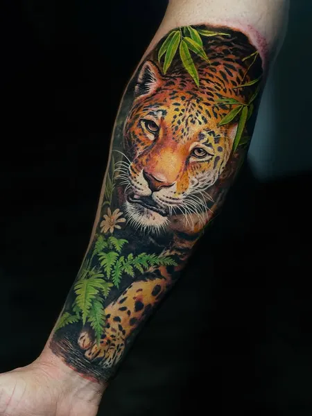 Tiger, Animal, 고릴라