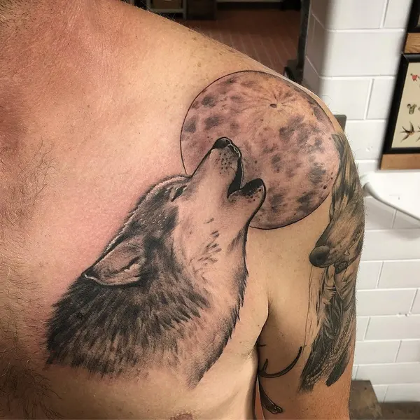 Animal