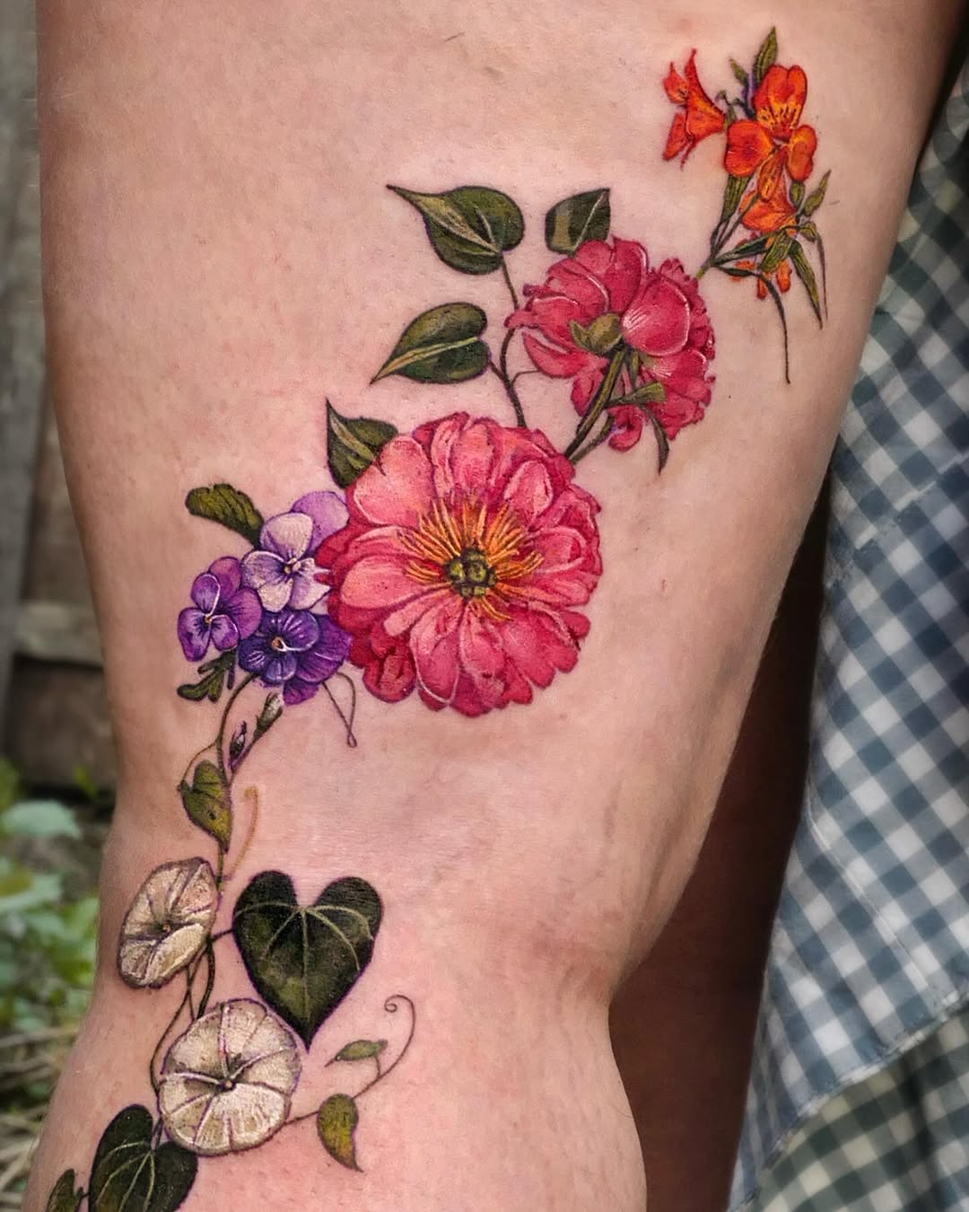 Rose, Flower