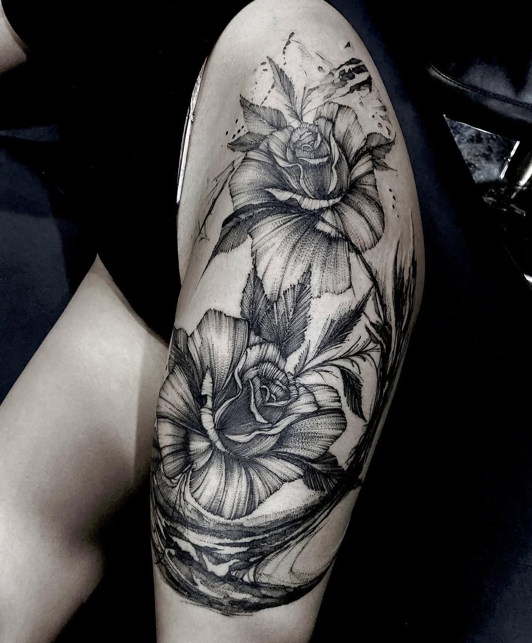 Flower, Rose, Nature