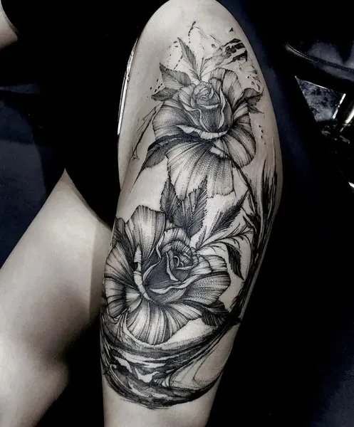 Flower, Rose, Nature