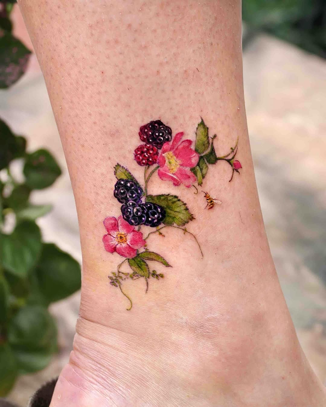 Flower, Rose