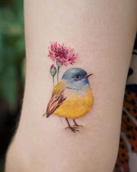 Animal, Nature