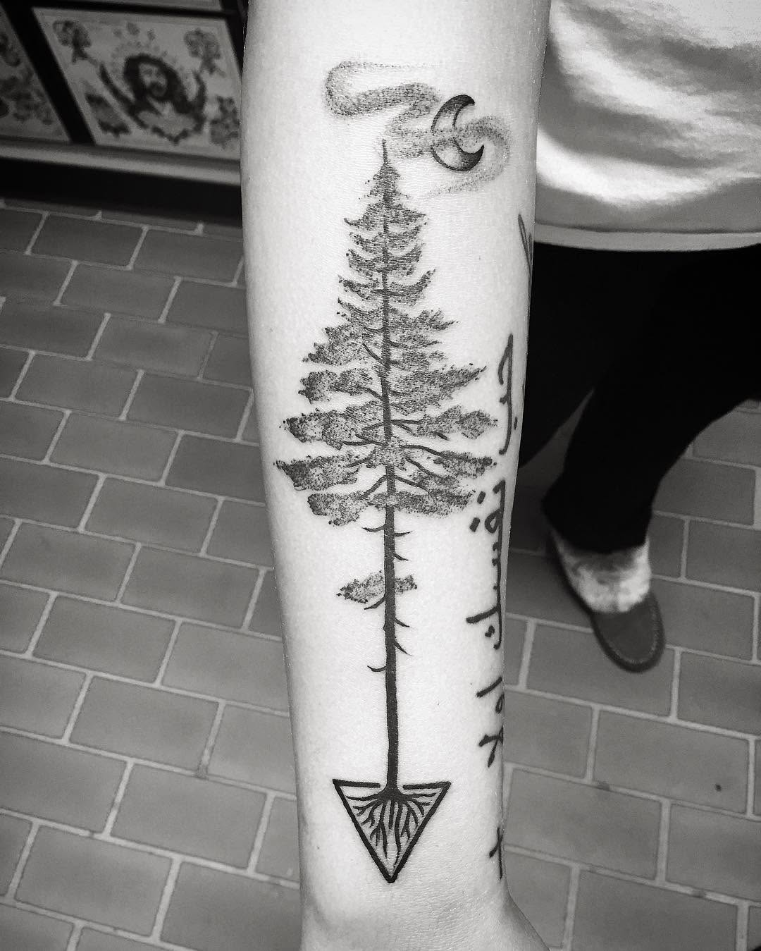 숲, Nature, 단풍잎, 소나무, 고사리