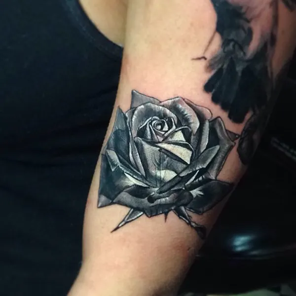 Flower, Rose
