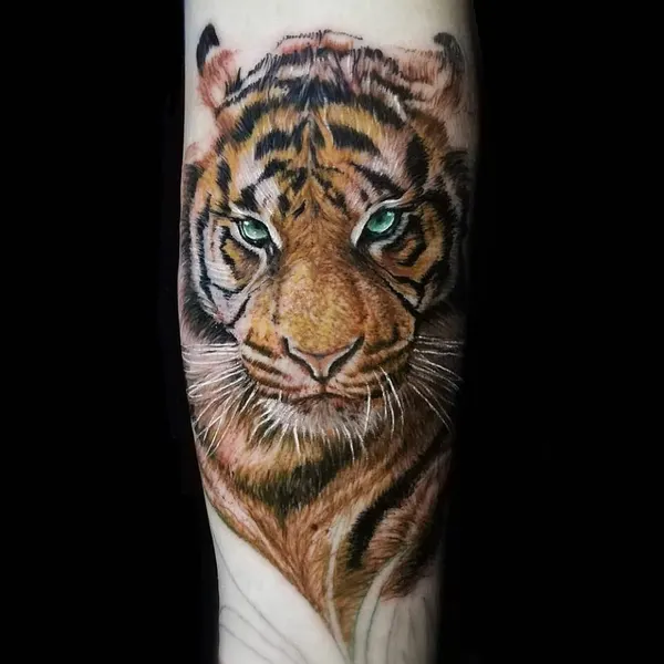 Tiger