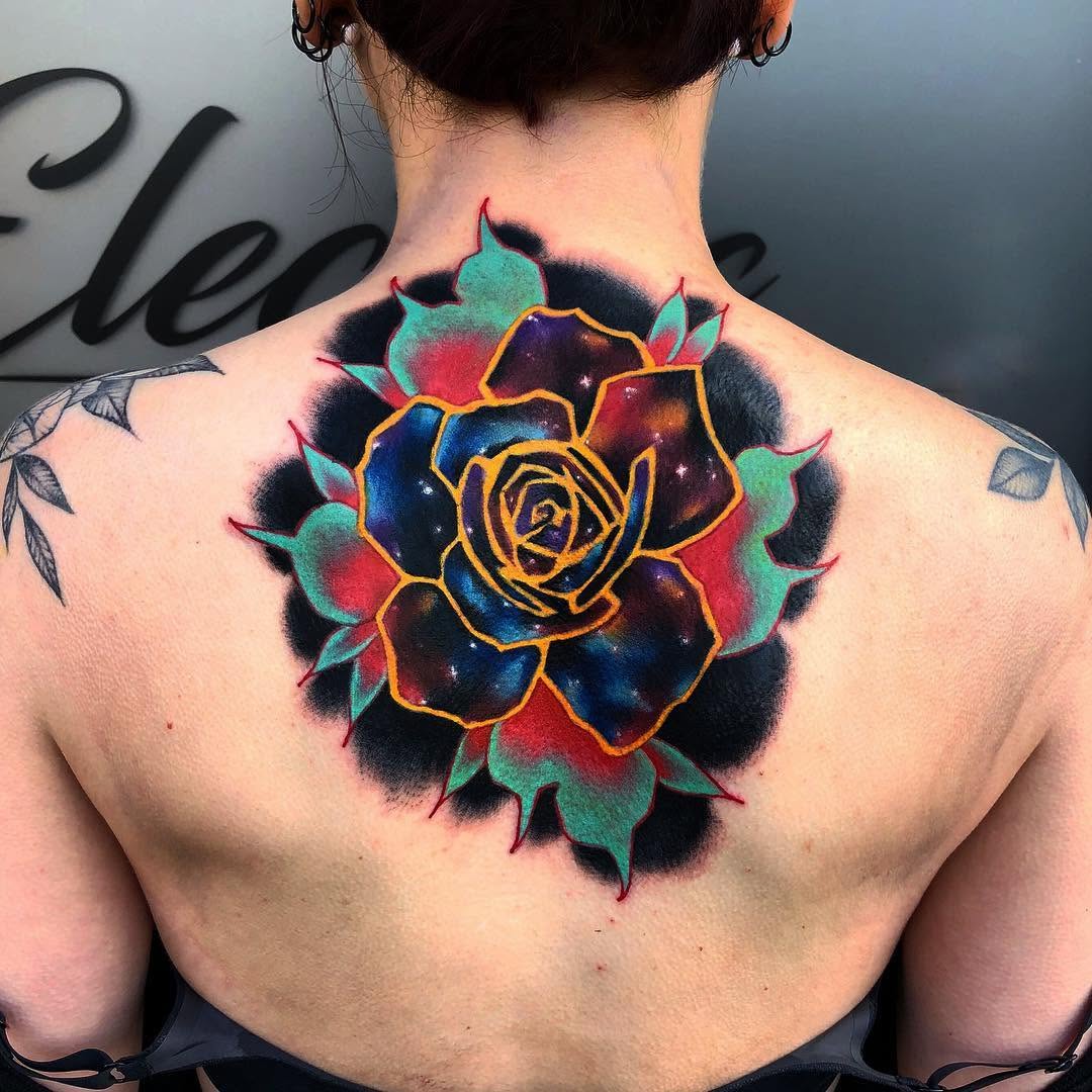 Flower, Nature, Rose
