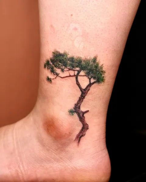 Nature, 나무, 소나무, 야자수