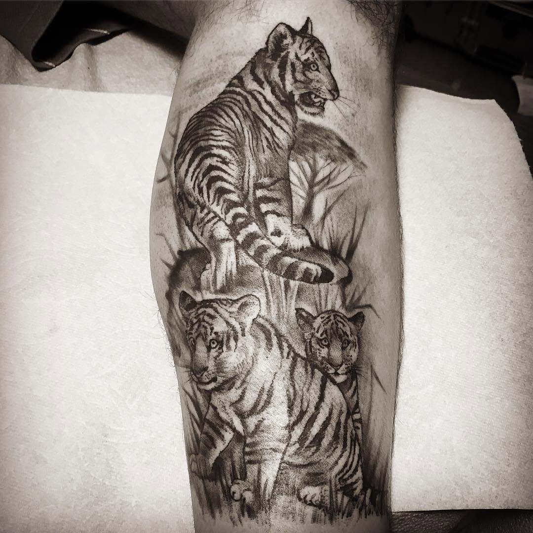 Tiger