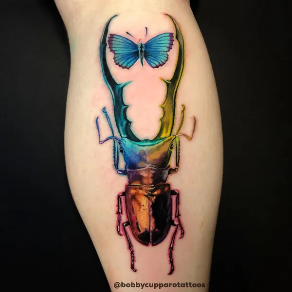 매미, 딱정벌레