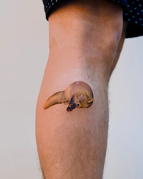 Animal, 버섯, 다람쥐, 조개껍데기, 나무늘보