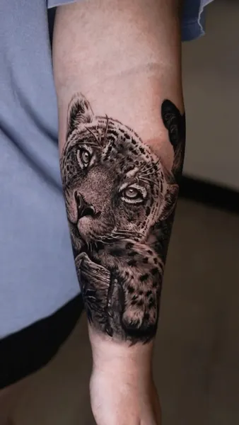 Animal, 표범