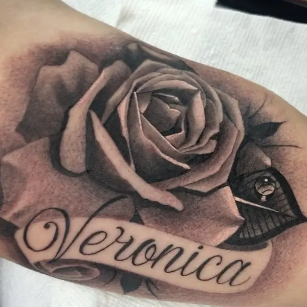 Flower, Rose, Lettering