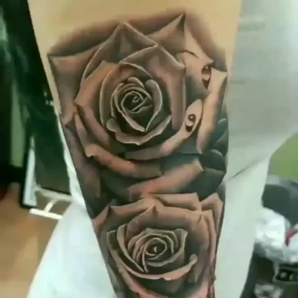 Flower, Rose, 그래픽