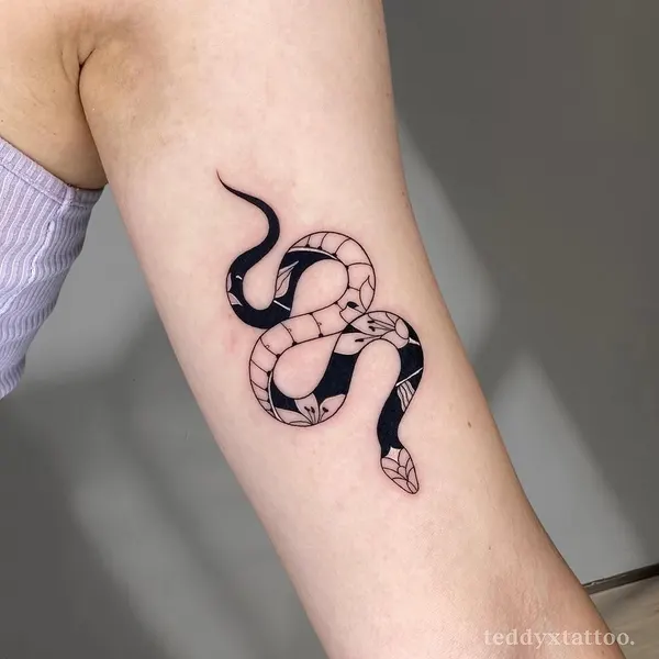 Dragon, 전갈자리, 염소자리, Snake