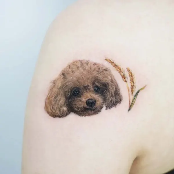 반려동물