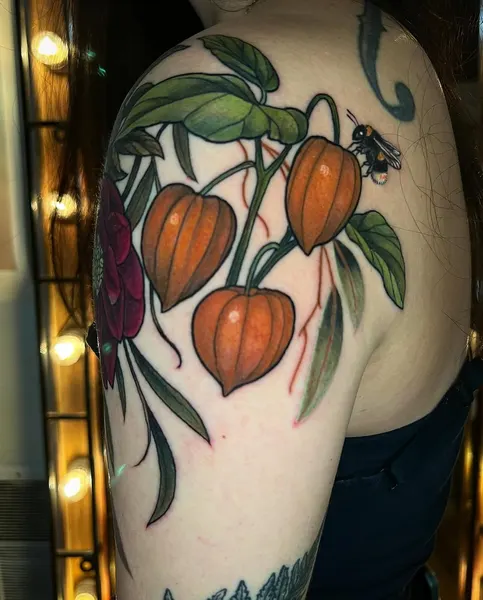 석류, Flower, Rose
