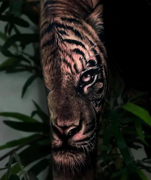 Tiger, 중국 호랑이