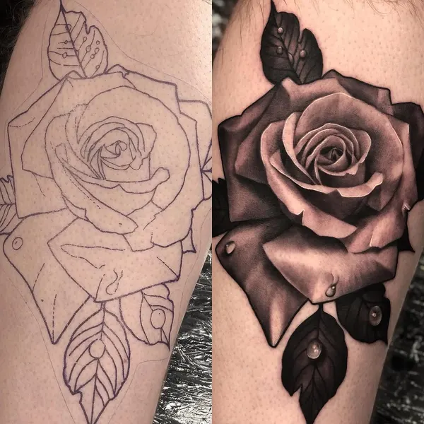 Flower, Rose