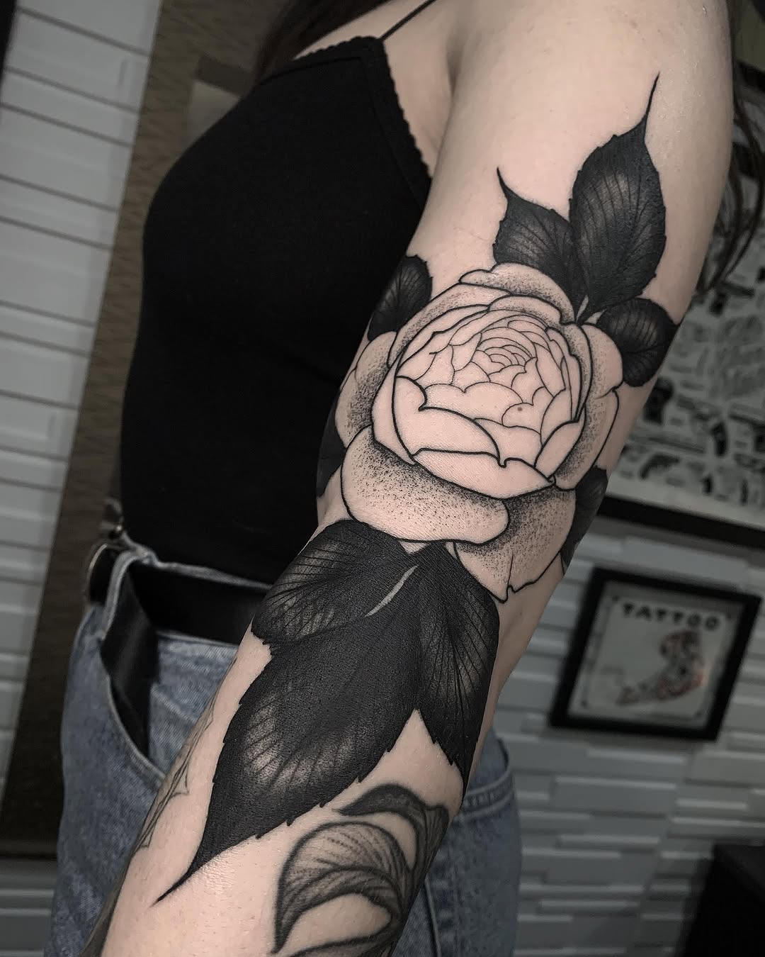 Flower, Rose, Nature
