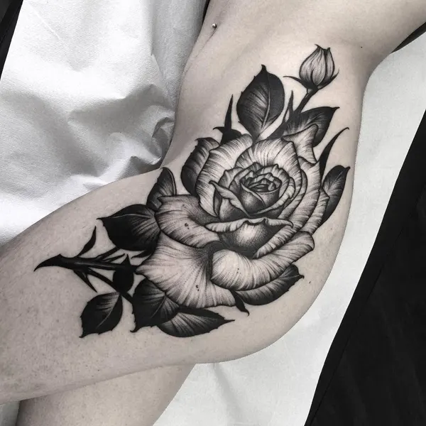 Flower, Rose