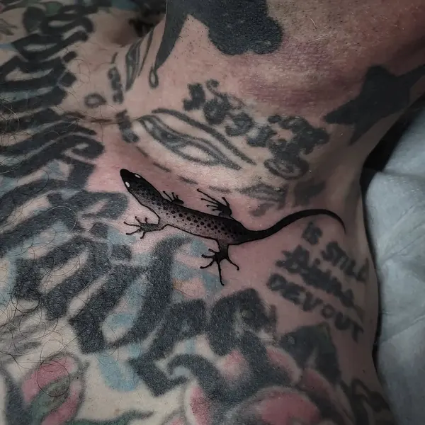 Dragon, 악어, 도마뱀