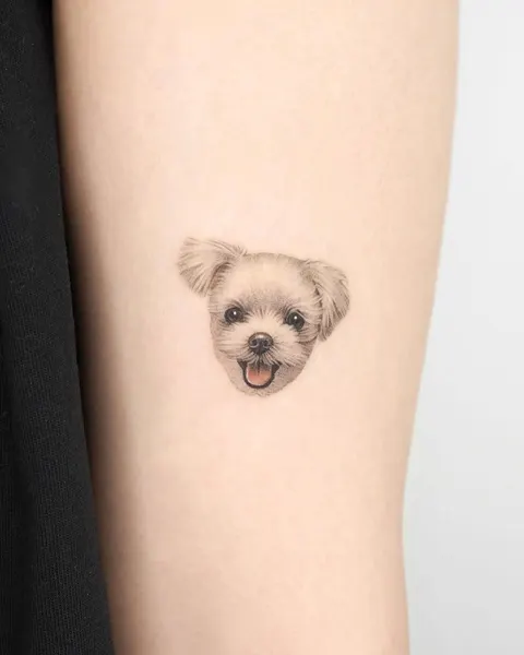 강아지