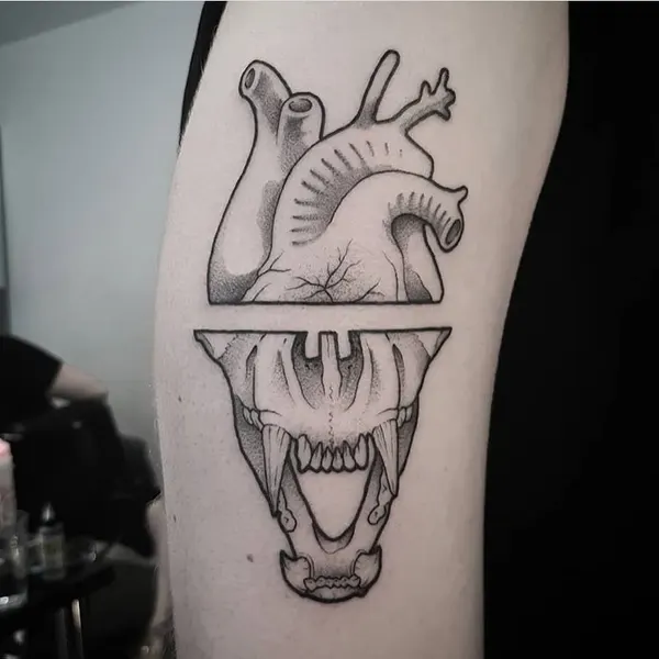 Dragon, 악어, 도마뱀