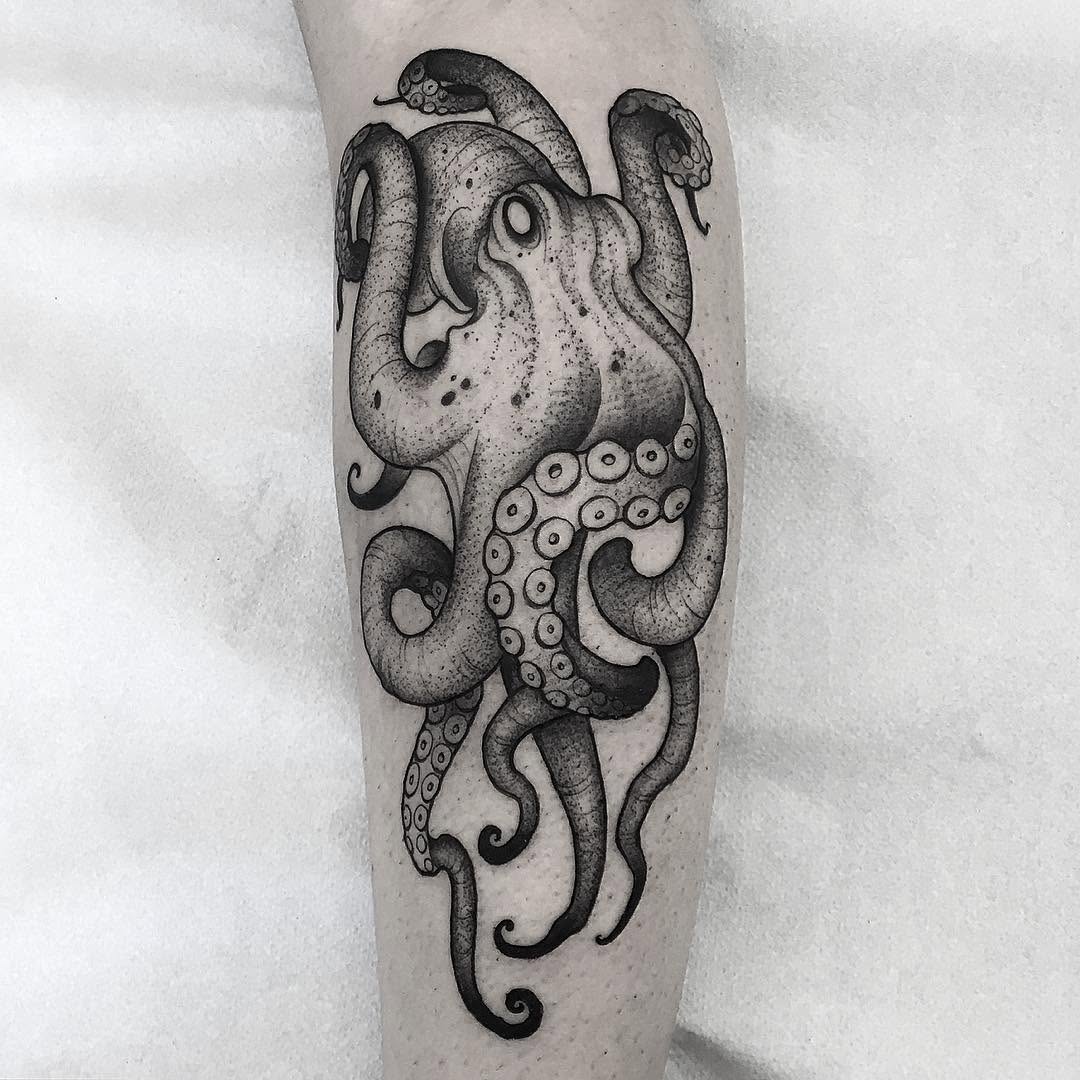 Animal, 문어, 오징어, 크라켄