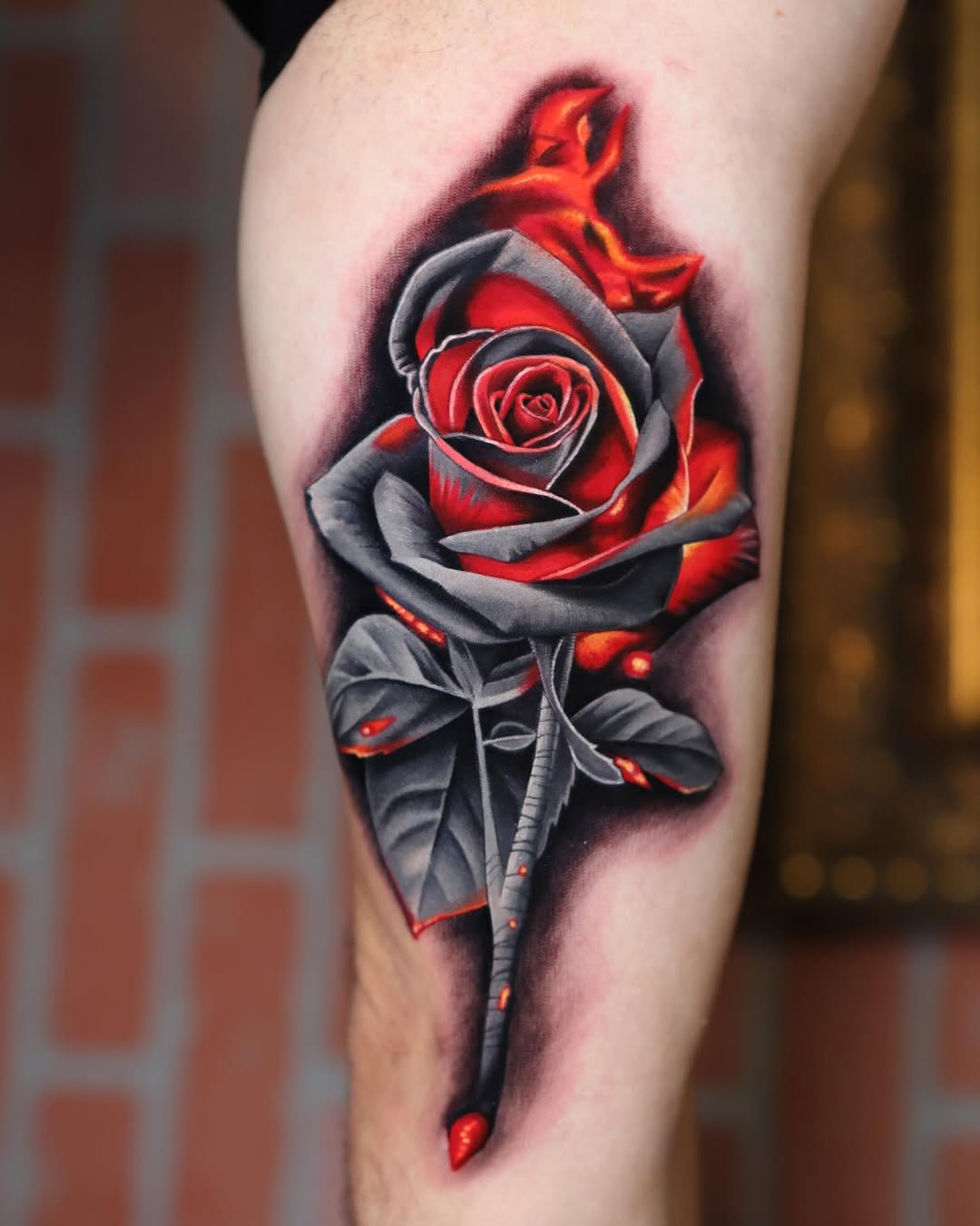 Flower, Rose