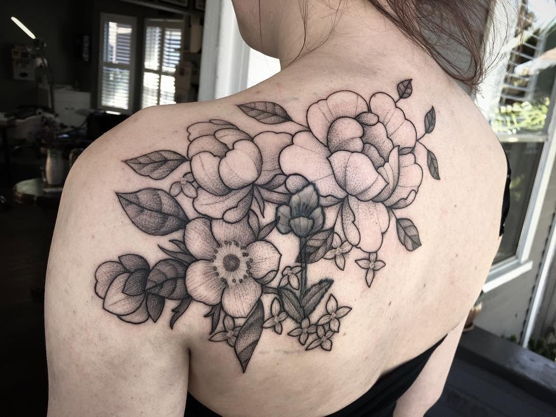 Flower, Rose, Nature, 난초, 수국