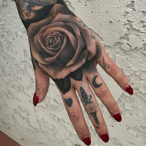 Flower, Rose