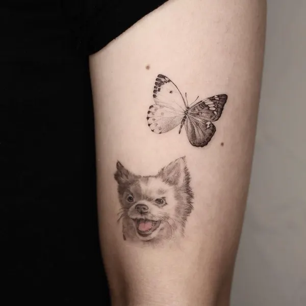 Nature, Animal, 수묵화