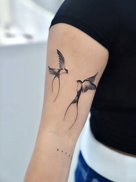 민화, 제비, 해태, 바람, 한글, 실루엣, 아이리스, 이레즈미