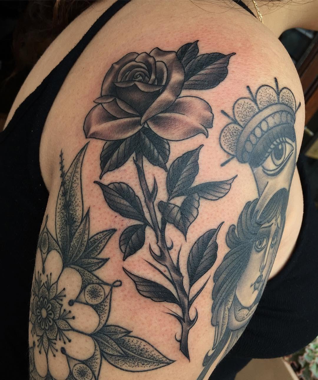 Flower, Rose, Nature
