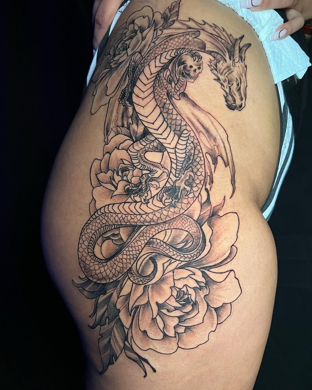 Dragon, 띠, 드래곤 라이더, 중국 용, 한국 용