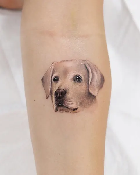Animal, 강아지