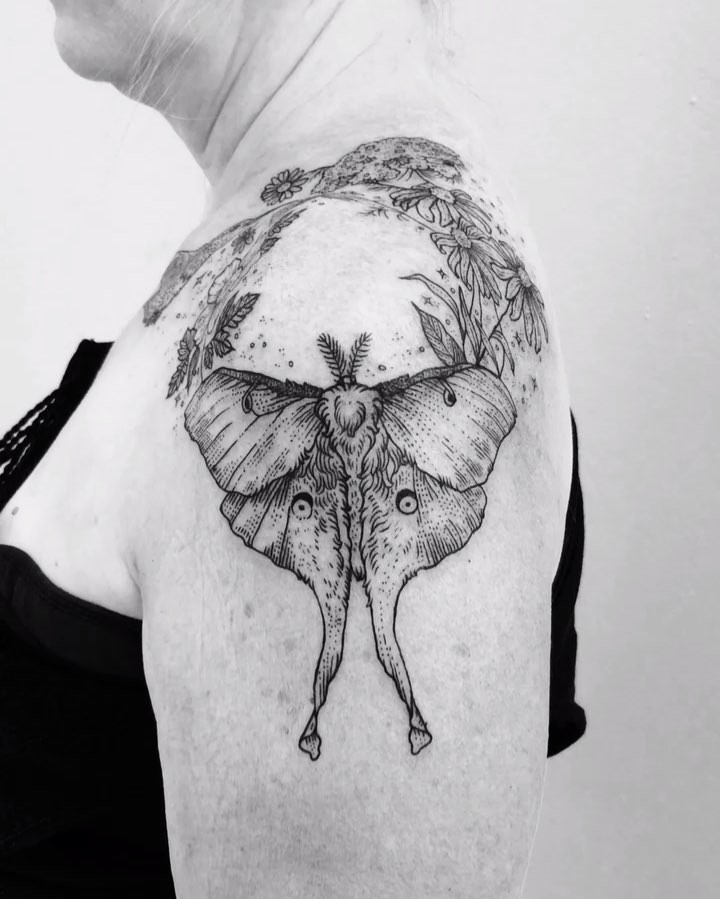 Animal, Nature
