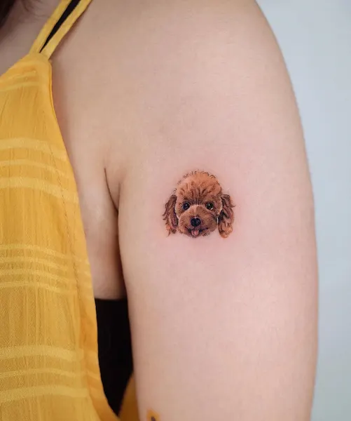 Animal