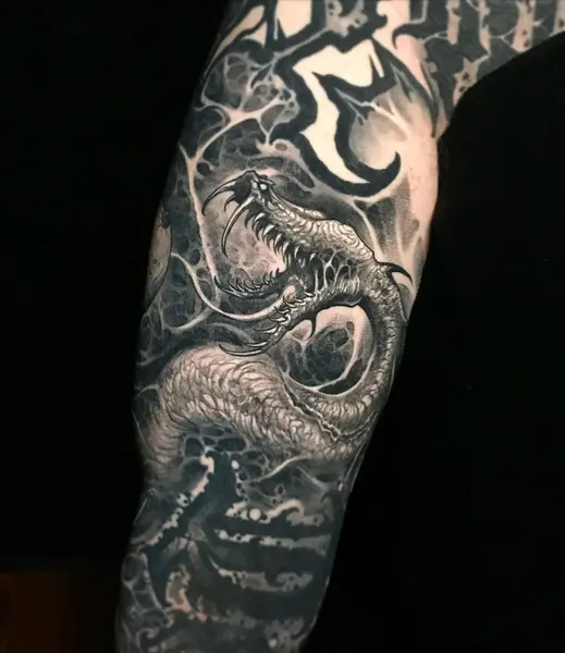 Dragon, 풀슬리브, 슬리브