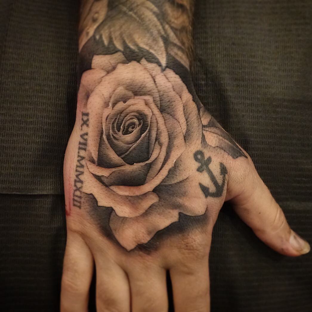 Flower, Rose