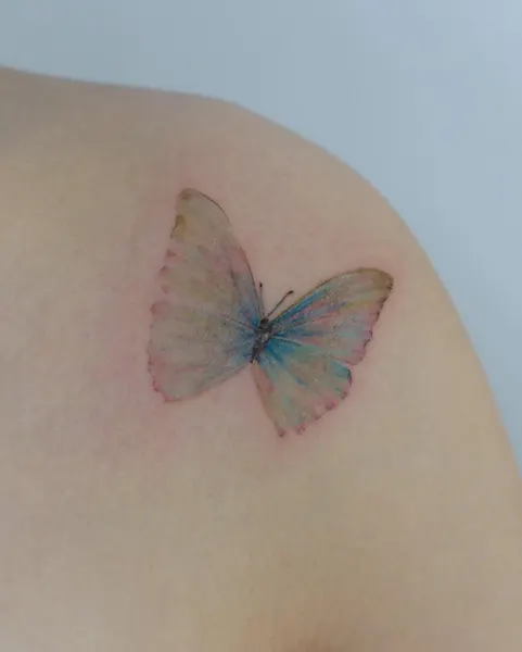 Animal, 나비, 요정