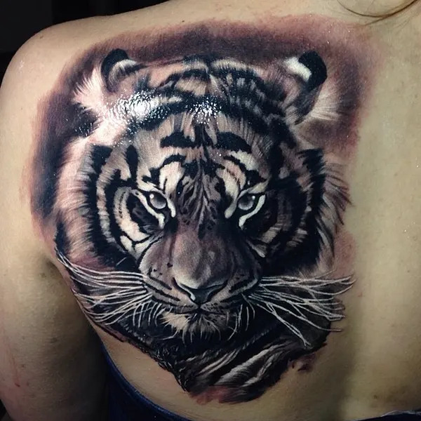Tiger, 일본 호랑이, 중국 호랑이, 한국 호랑이