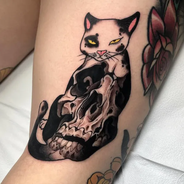Animal